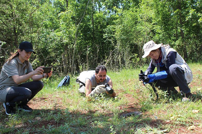 18-06/02/resimid_9758519-copy