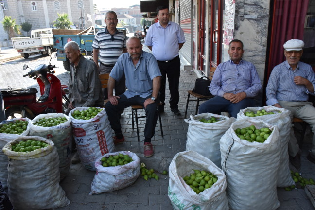 18-06/04/20180604_2_30717008_34338792