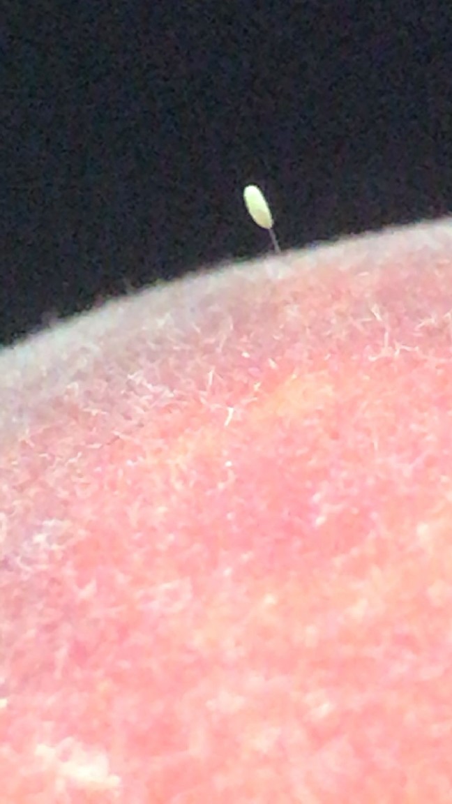 18-06/10/aw416462_01