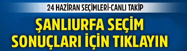 18-06/11/anliurfa-secim-sonuclari