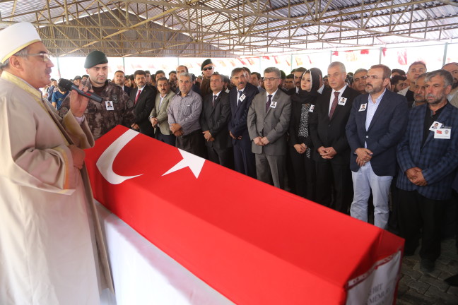 18-06/12/20180612_2_30862272_34593886