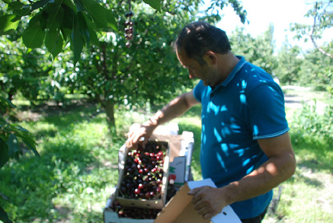 18-06/13/aw419316_02-1528891688