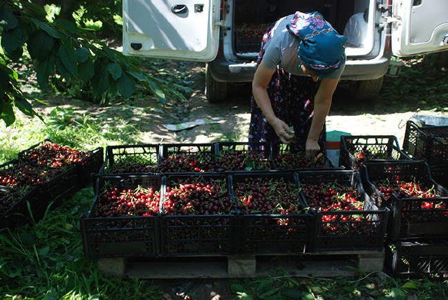 18-06/13/aw419316_03-1528891696