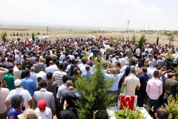 18-06/15/3-1529068502