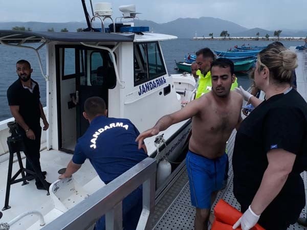 18-06/15/3-1529081228