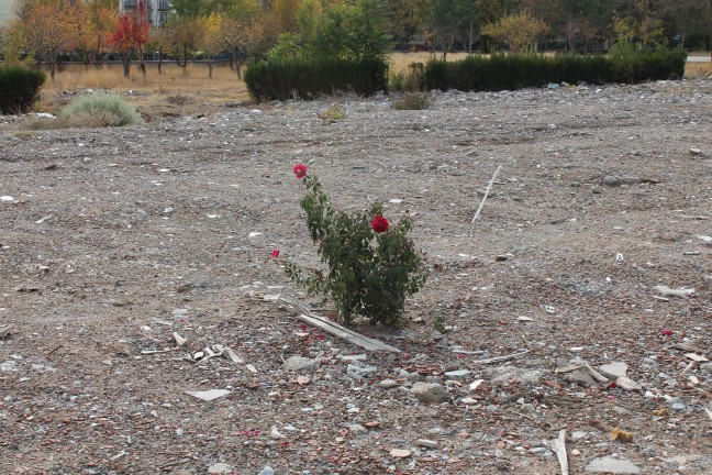 18-06/17/resimid_9868593