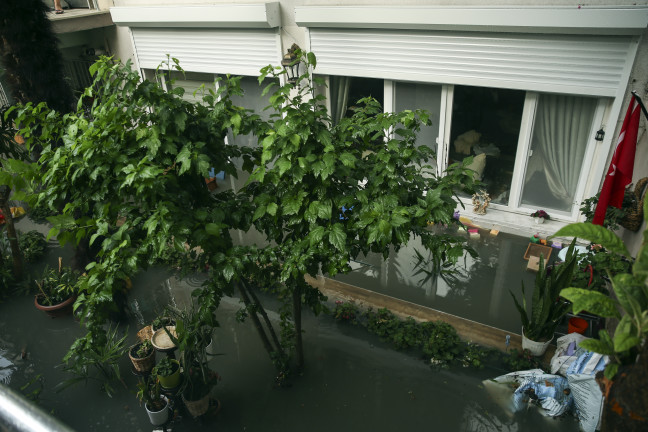 18-06/19/20180619_2_30978209_34803173