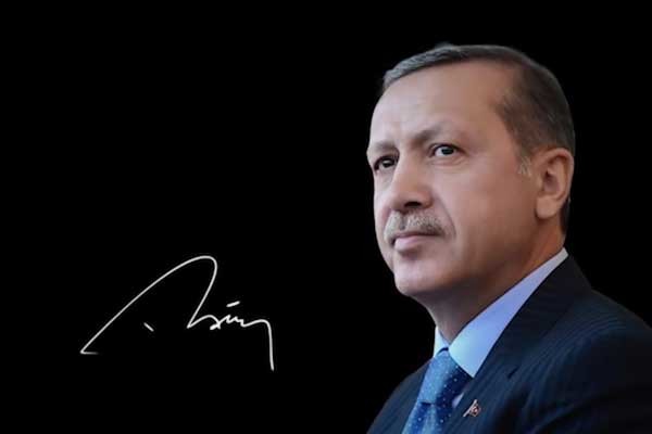 18-06/20/3-1529513474