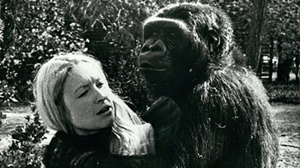 18-06/21/1-1529595679