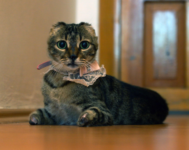 18-06/21/20180621_2_31026238_34881282