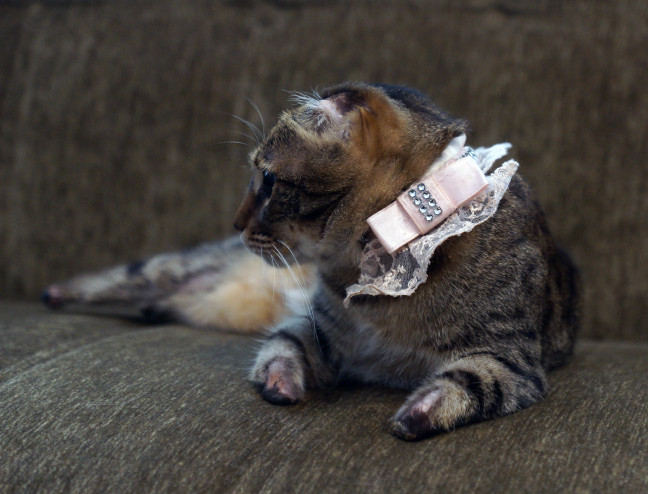 18-06/21/20180621_2_31026238_34881284