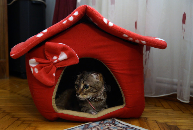 18-06/21/20180621_2_31026238_34881286