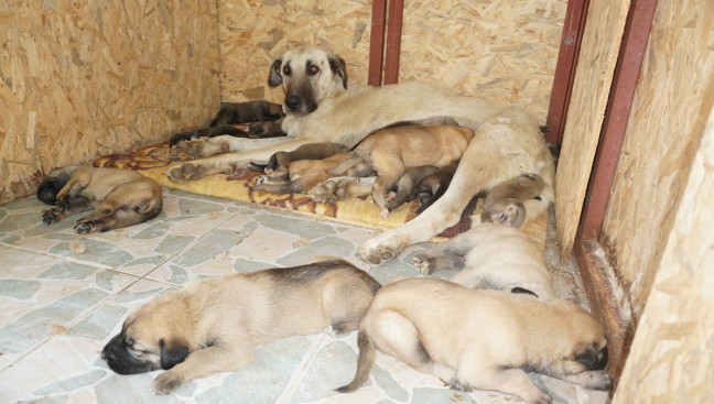 18-06/23/20180623_2_31085231_34973216