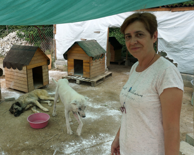 18-06/23/20180623_2_31085231_34973218