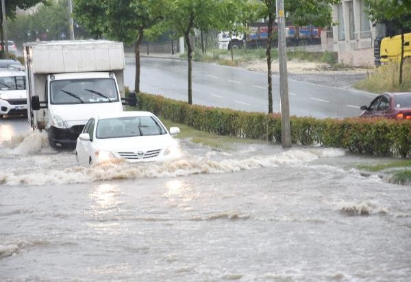 18-06/23/3-1529766784