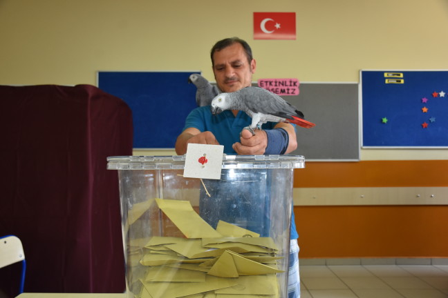 18-06/24/20180624_2_31104776_35022723