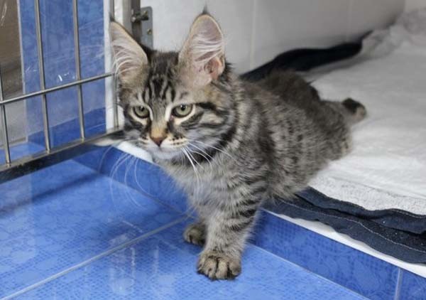 18-06/25/2-1529948704