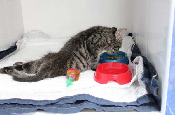 18-06/25/3-1529948713