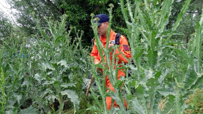 18-06/25/leylayi-arama-calismalarinda-11inci-gun_7608_dhaphoto3