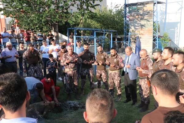 18-06/26/2-1530032311