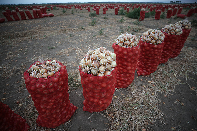 18-06/28/20180628_2_31182446_35142057