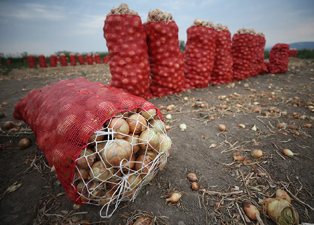 18-06/28/20180628_2_31182446_35142058-1530182982