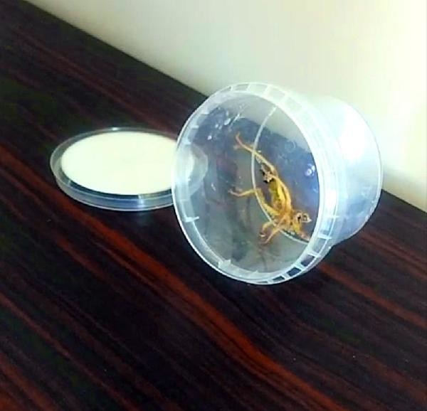 18-06/28/3-1530201446