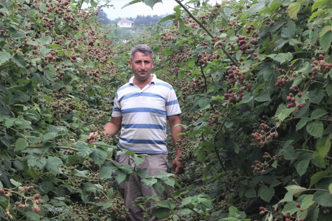 18-06/29/aw431276_06