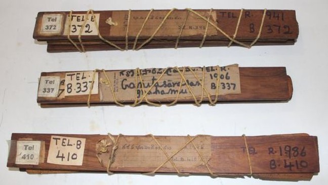 18-07/06/4-1530897752