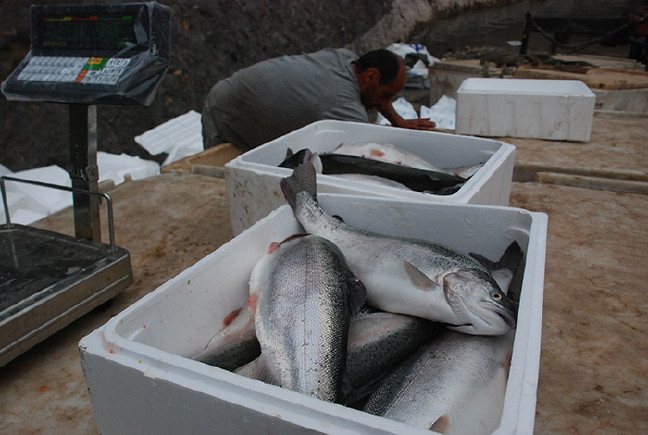 18-07/07/aw437999_04-1530952927