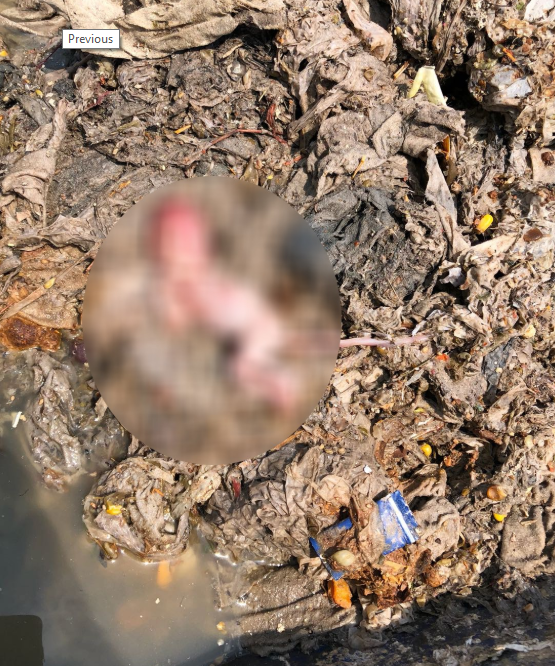 18-07/09/screenshot_2