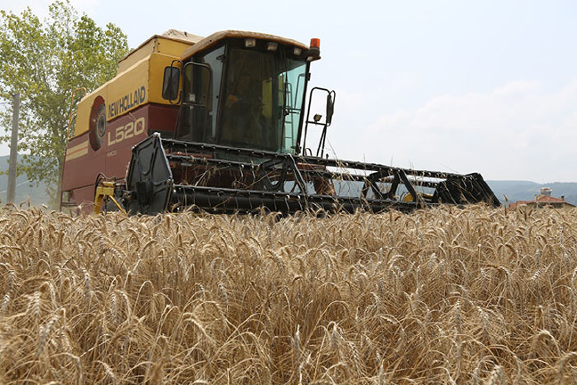 18-07/12/asdasdasdasdadasd