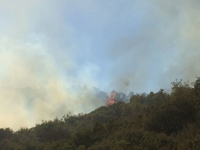 18-07/16/20180716_2_31486824_35710658