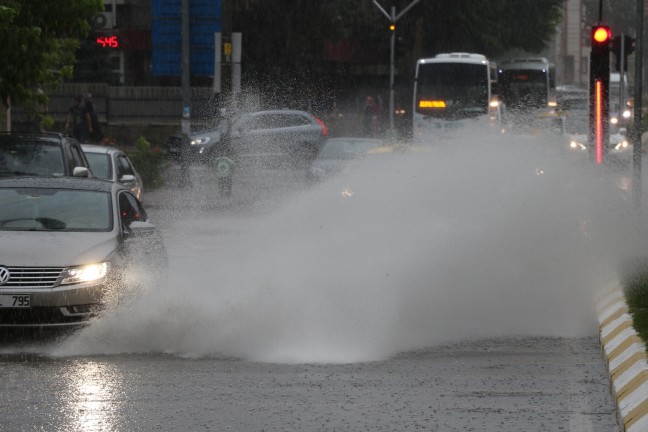 18-07/17/1-1531835709