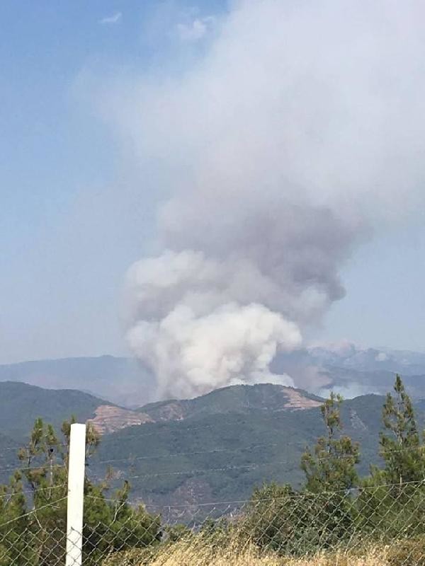 18-07/17/3-1531840208