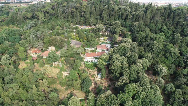 18-07/18/aw446574_06