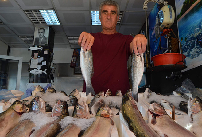 18-07/18/aw446736_02-1531901406