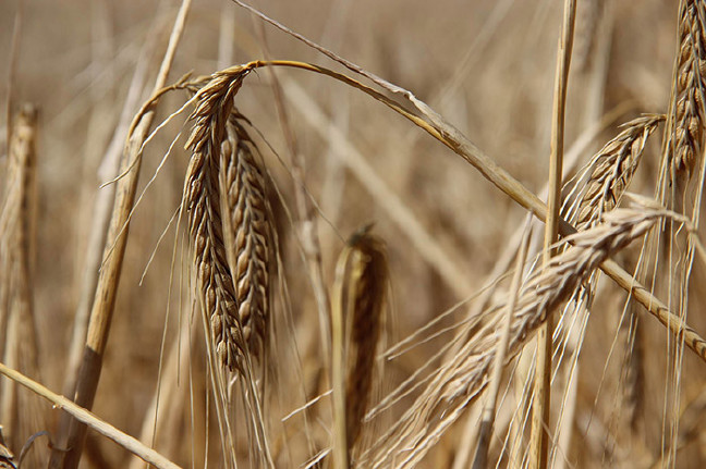 18-07/19/aw447808_01