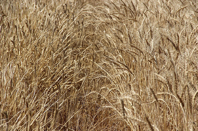 18-07/19/aw447808_05