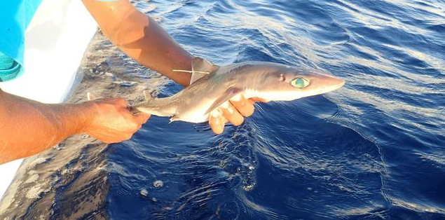 18-07/19/screenshot_8