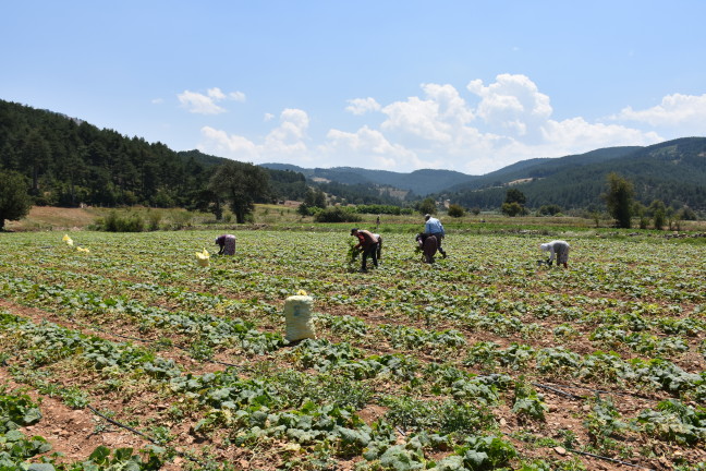 18-07/21/20180721_2_31559948_35820711