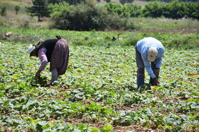 18-07/21/20180721_2_31559948_35820712