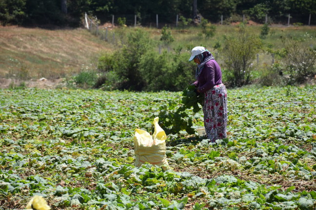 18-07/21/20180721_2_31559948_35820713