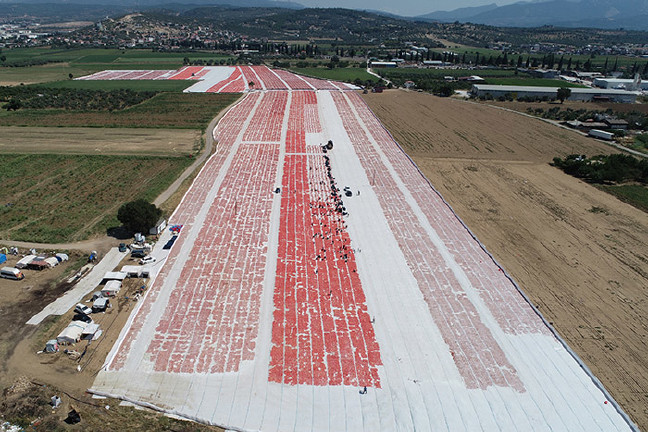 18-07/21/aw449439_01