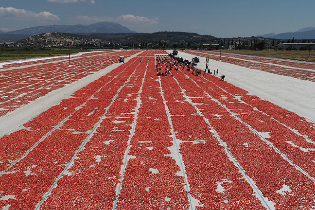 18-07/21/aw449439_06