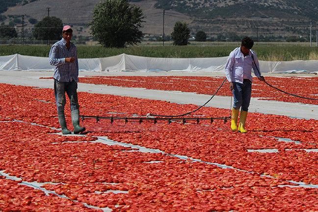 18-07/21/aw449439_11