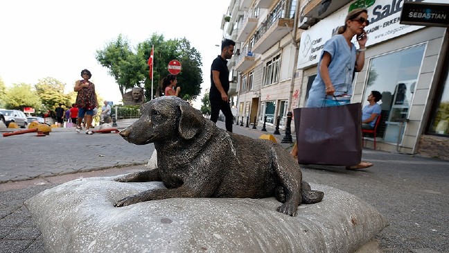 18-07/22/2-1532264807