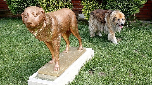 18-07/22/3-1532264831