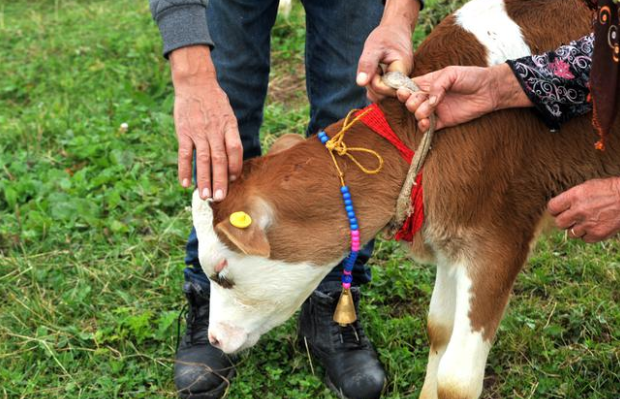 18-07/22/screenshot_2