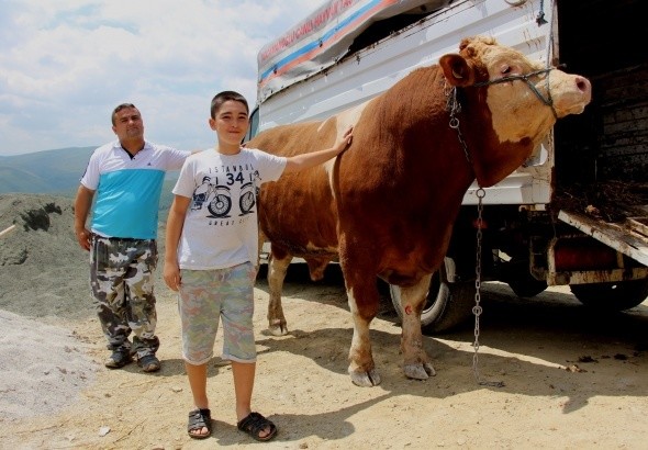 18-07/23/1-1532337843